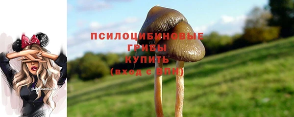 дживик Алексин