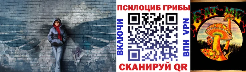 Псилоцибиновые грибы Psilocybe Ишим